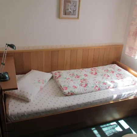 艾姆克兹恩特姆宾馆 3*